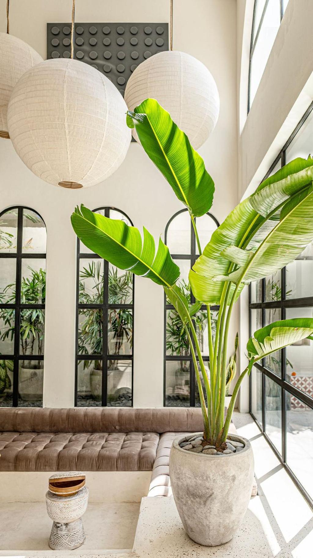 Casa Toledo 1 Bedroom Kerobokan *